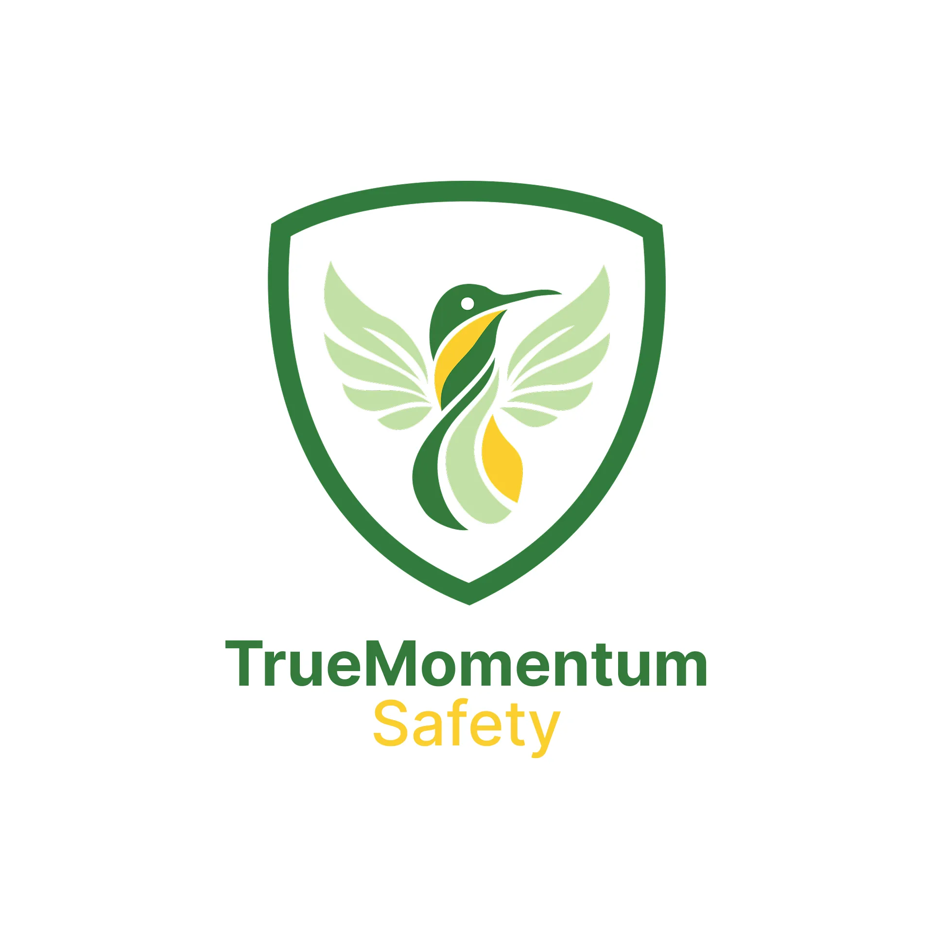 About TrueMomentum Safety